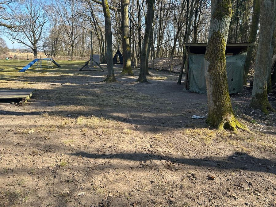 Arbeitseinsatz auf dem Vereinsgelände des Schönfließer HSC 23